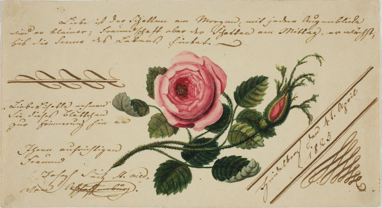 Uten tittel Valentine (rosa blomst) av Unknown artist