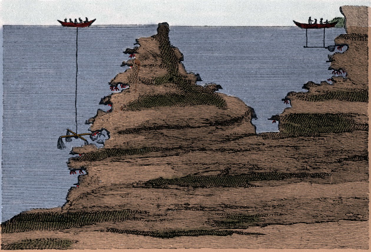 Bruk av to typer garn for korallfiske. Til høyre salabre, til venstre håndverket. Gravering fra "" Physical History of the Sea"" av historien Marsilli, Amsterdam av Unknown artist