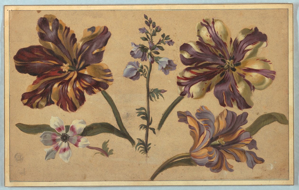 Ulike blomster av Unknown artist