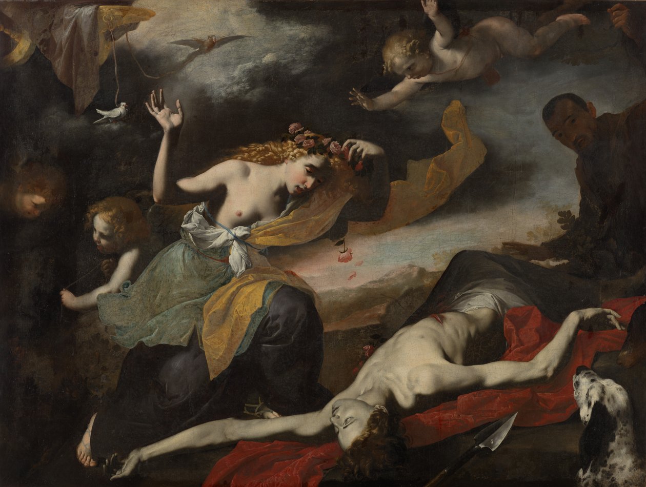 Venus oppdager den døde Adonis av Unknown artist