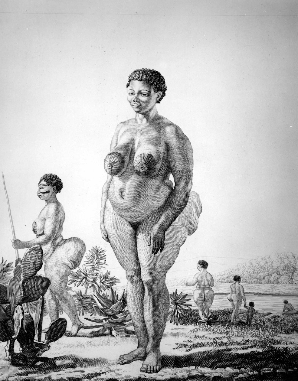 Venus Hottentote fra Sør-Afrika av Unknown artist
