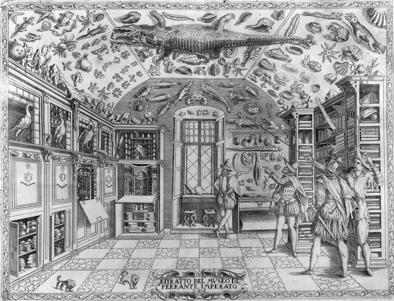 Utsikt over museet (kabinettet) av kuriositeter (leksikonmuseum) til farmasøyten Ferrante Imperato (1550 - 1631). Gravering fra 1678. Museum for den napolitanske apotekeren Ferrante Imperato. av Unknown artist