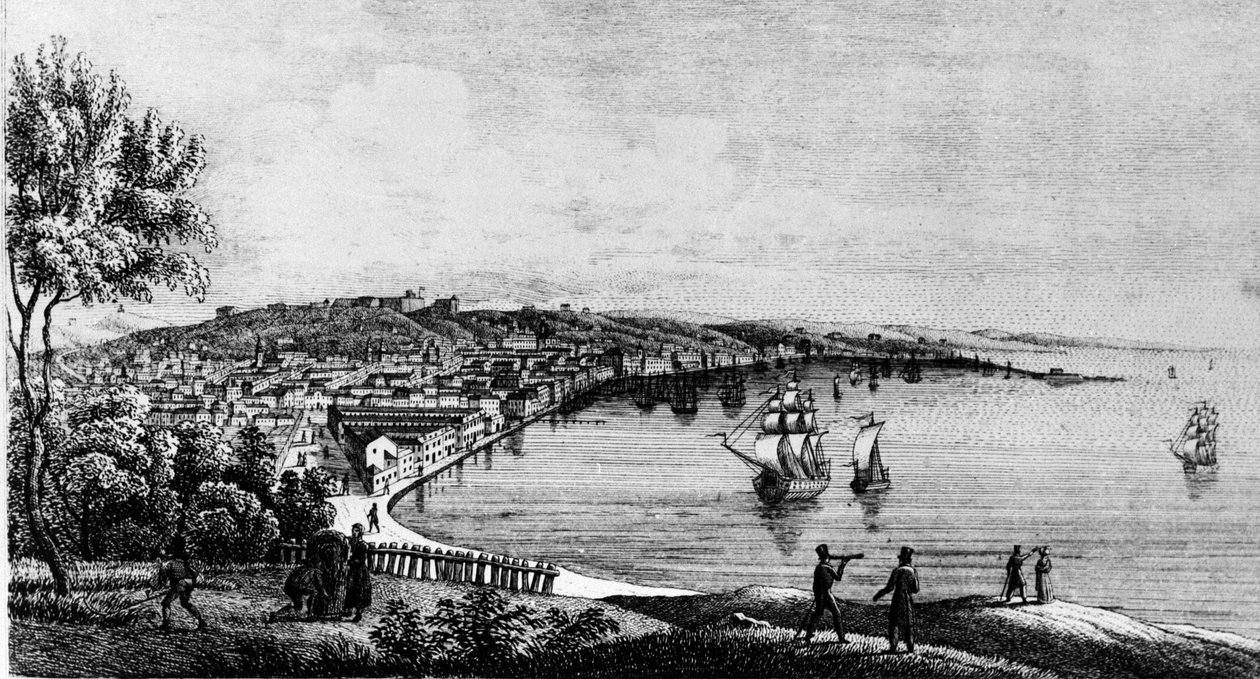 Utsikt over havnen i byen Trieste (i den østerrikske perioden), gravering fra 1800-tallet. av Unknown artist