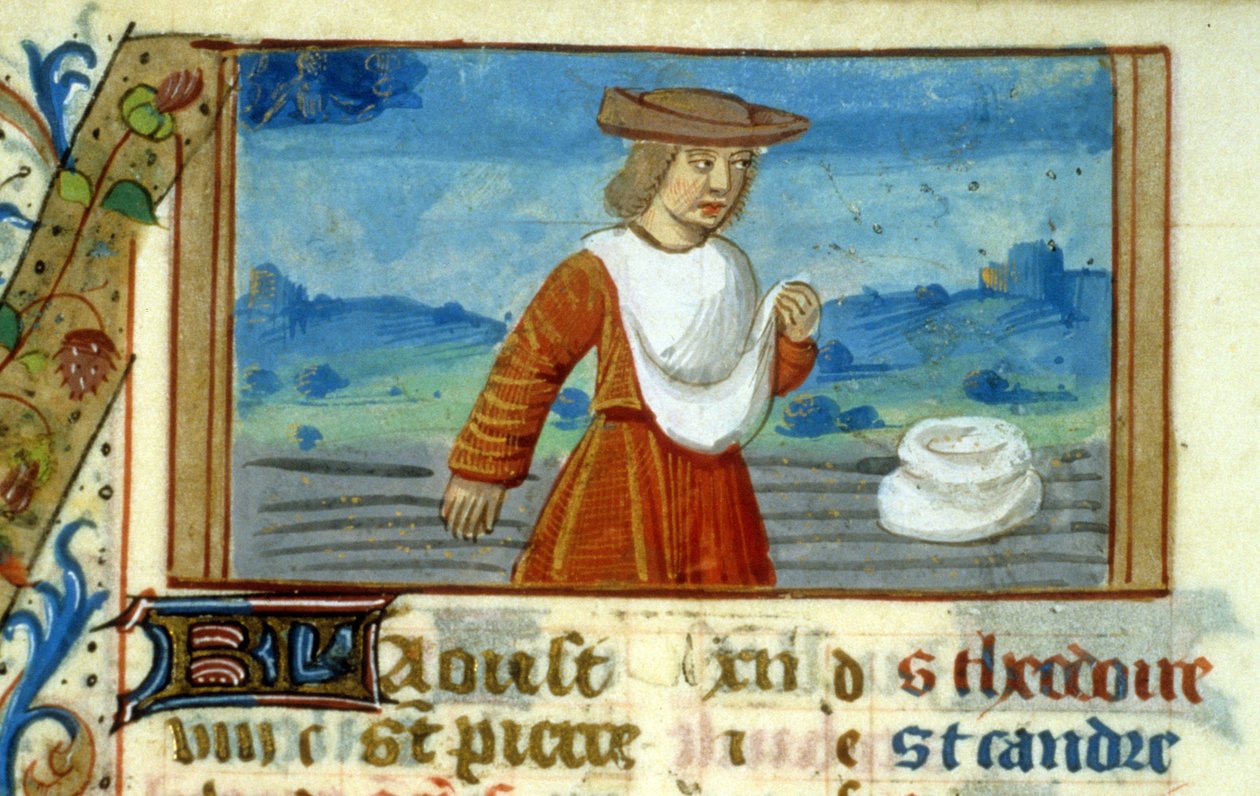 Jomfrusåer og dyrekrets - Miniatyr av middelalderen (ref. 137, 049v) - Be om tillatelse fra kommunalbiblioteket i Toulouse (tlf: 05 62 27 66 66) av Unknown artist
