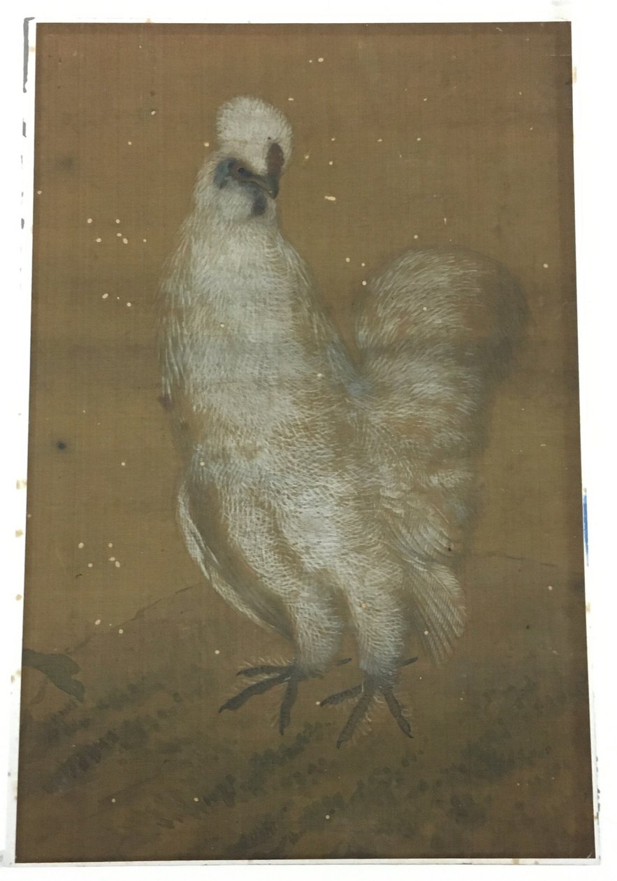  av Unknown artist