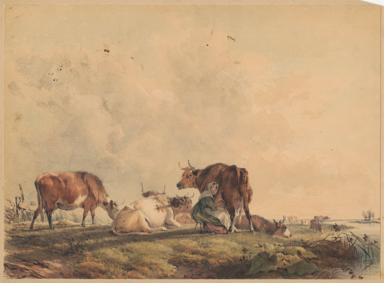 Kvinne som melker en ku av Unknown artist