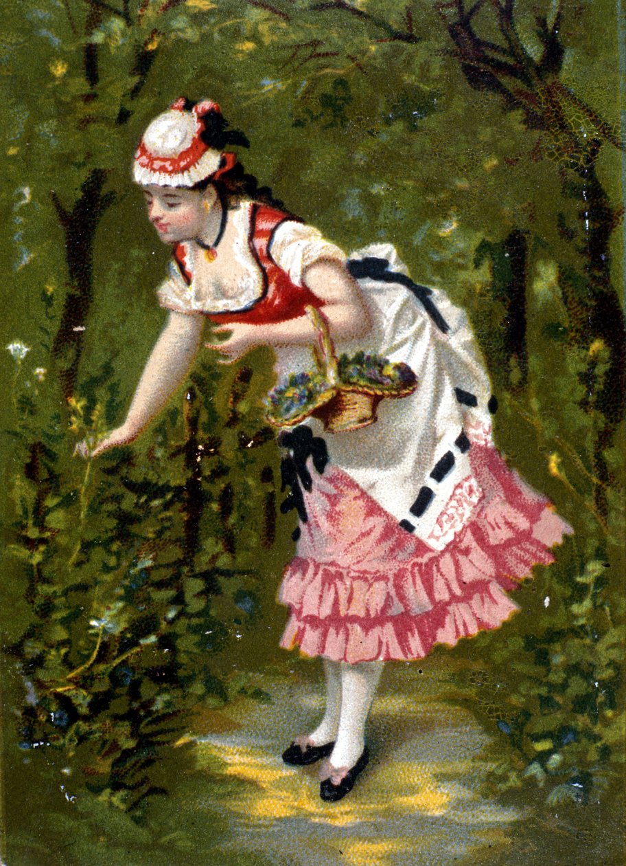 Ung kvinne plukker blomster. Kromolitografi/ av Unknown artist