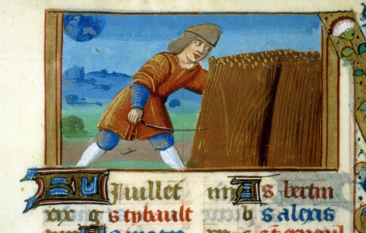 Zodiac Lion and Harvest - Miniatyr av middelalderen (ref. 137, 049r): Forespørsel om tillatelse fra kommunalbiblioteket i Toulouse (tlf: 05 62 27 66 66) av Unknown artist