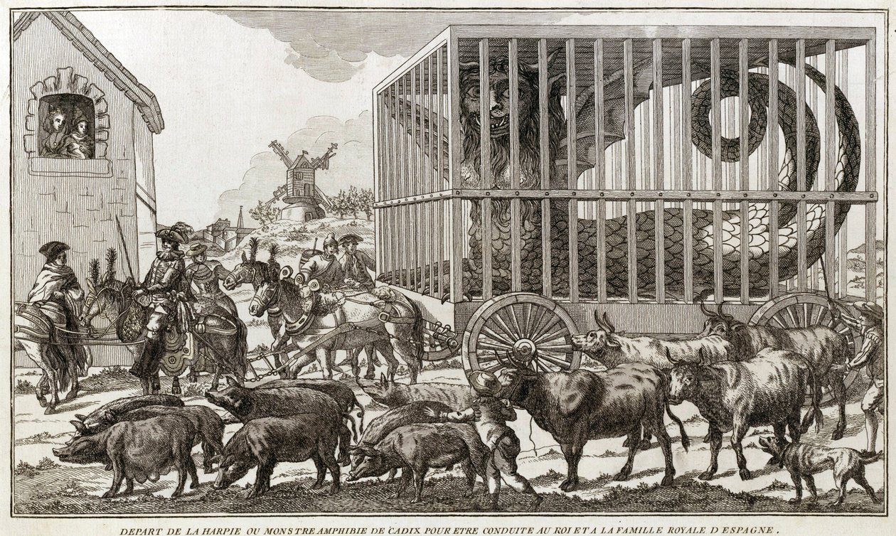Zoomorphism - Karikatur mot Mary - Antoinette - Forlot harpyen eller amfibiemonsteret i Cadiz for å bli ført til kongen og kongefamilien i Spania: Dette dyret ble tatt ved bredden av Lake Fagua - 1784 - av Unknown artist