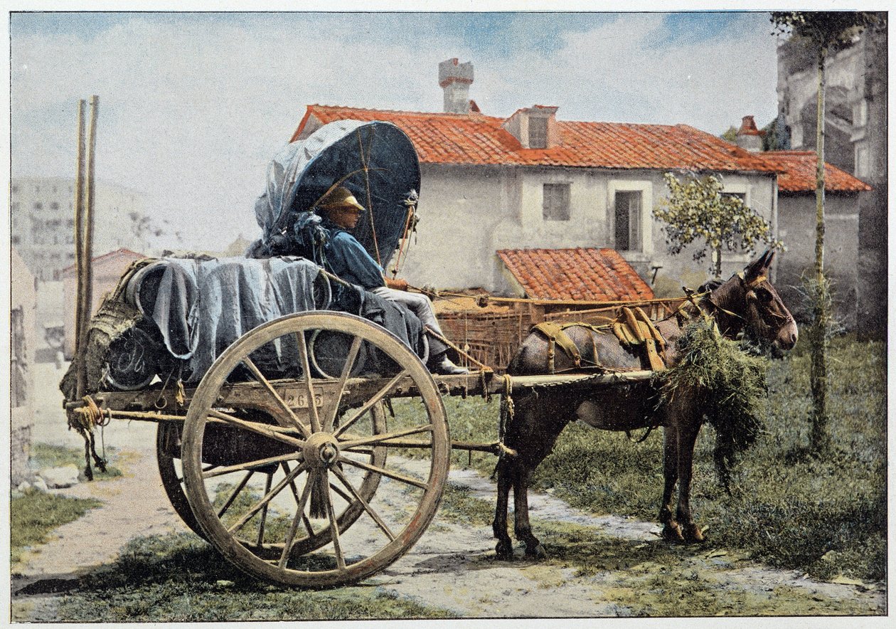 En vognmann som bærer vinen sin. Roma, Italia, slutten av 1800-tallet. av Unknown photographer