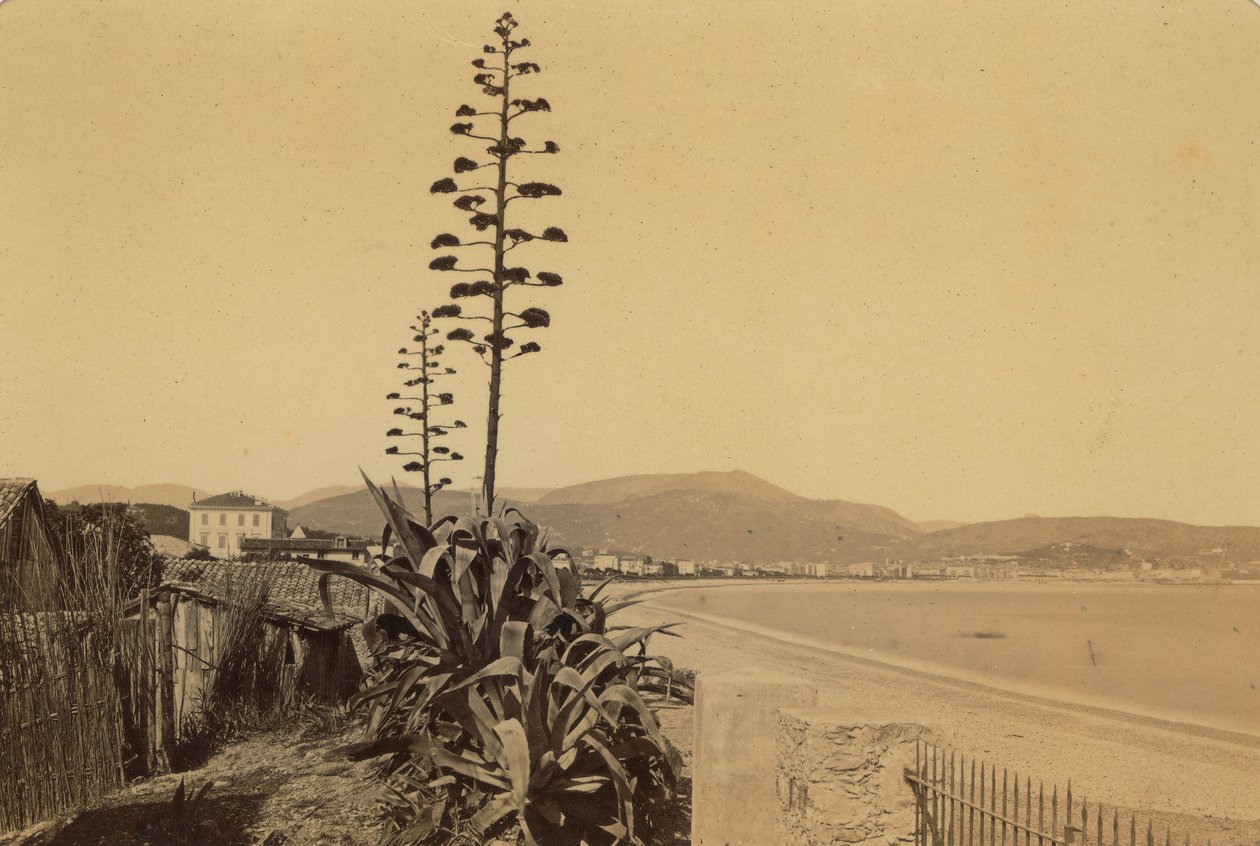  av Unknown photographer