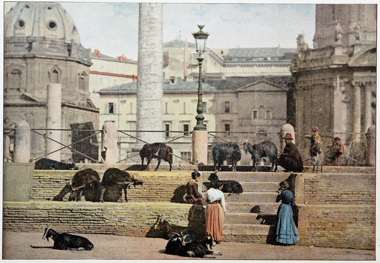 Antikkens Roma: utsikt over Roma Forum. Italia, slutten av 1800-tallet. av Unknown photographer