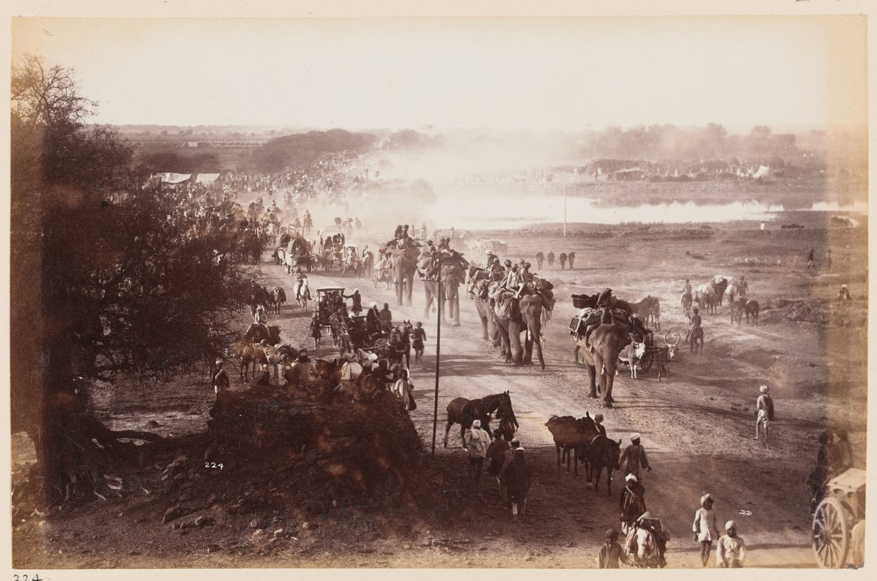 Bagasjesøyle under Delhi Camp of Exercise, 1885 ca av Unknown