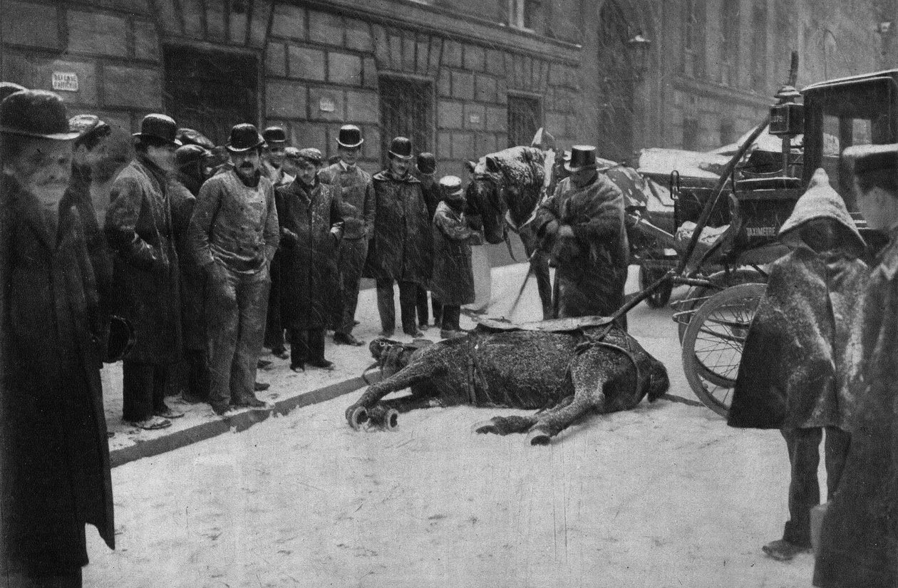 Død av en koblingshest i gatene i Paris. Fotografi, sent på 1800-tallet, Paris. Coll. Selva. av Unknown photographer