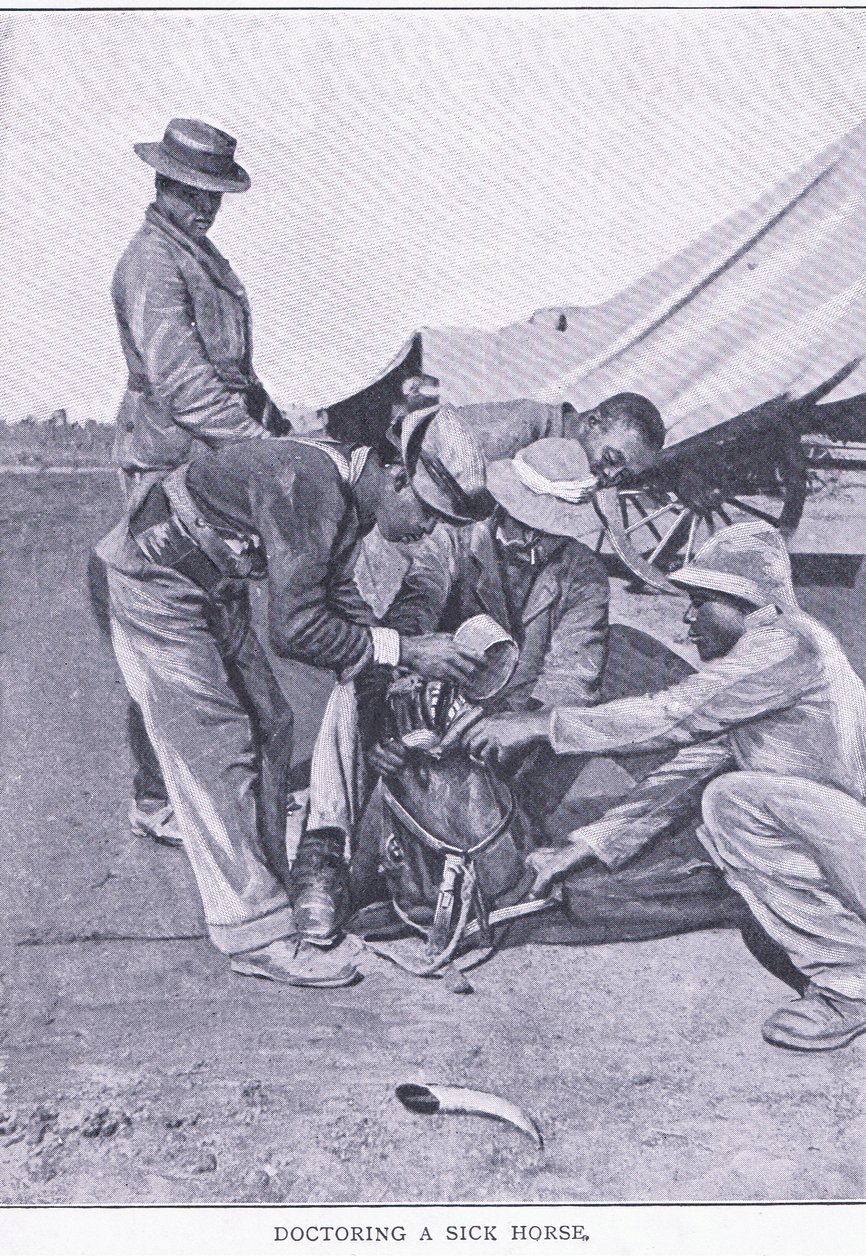 Å behandle en syk hest, fra After Pretoria: The Guerilla War utgitt av Harmsworth Bros Limited av Unknown photographer