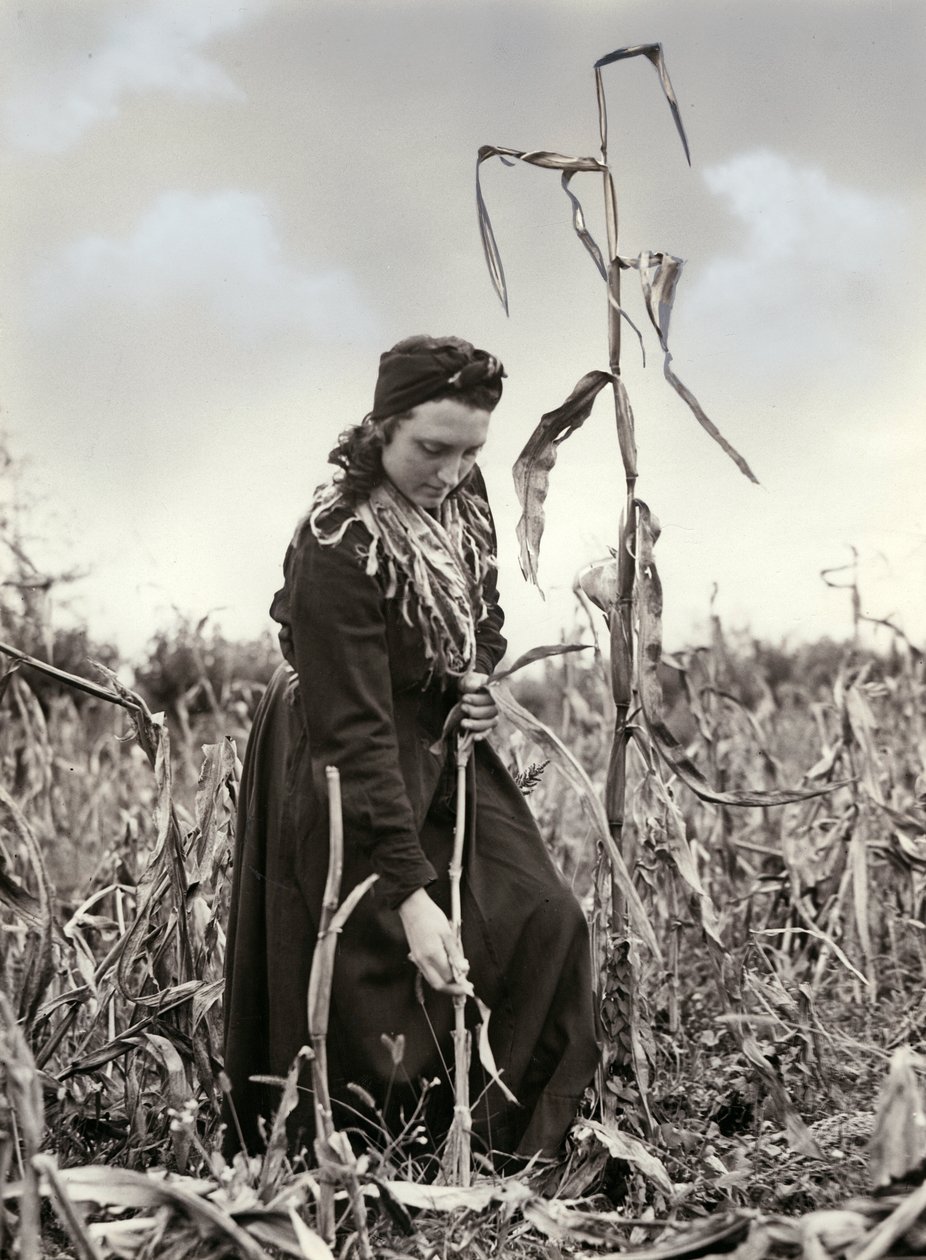  av Unknown photographer