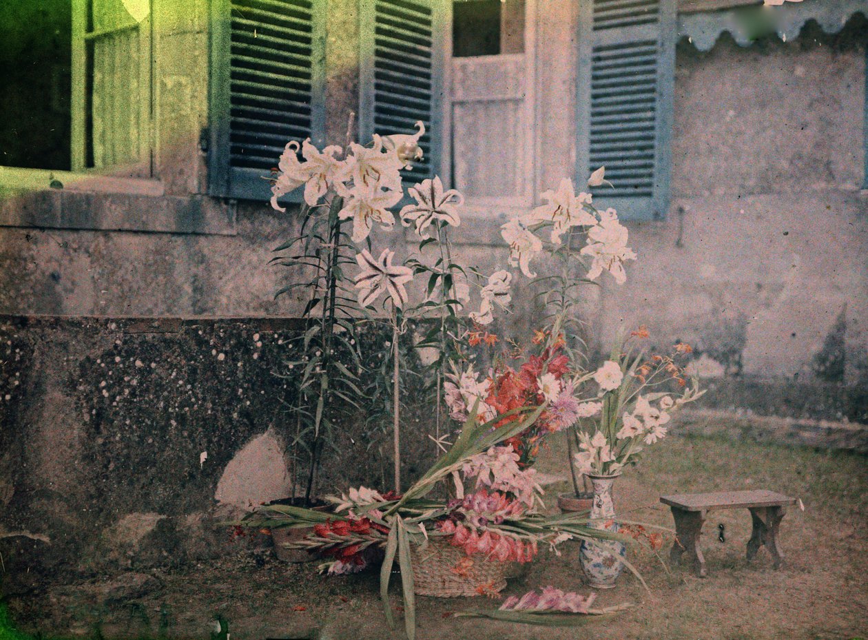 Fotografihistorie: Blomsterkomposisjon av Unknown photographer