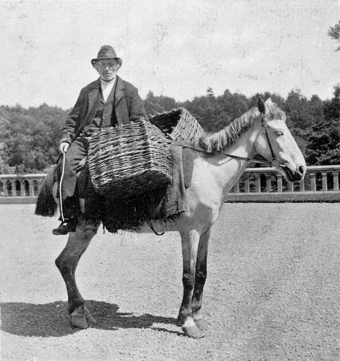 Irsk mann på hesten (1800-tallet). av Unknown photographer