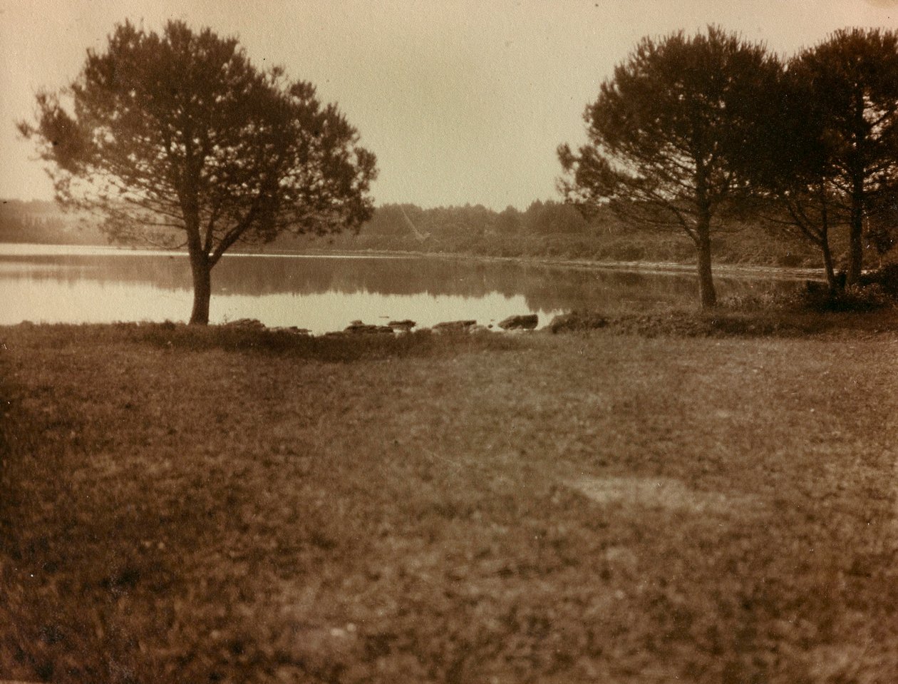 Landskap på Brijuni-øyene av Unknown photographer