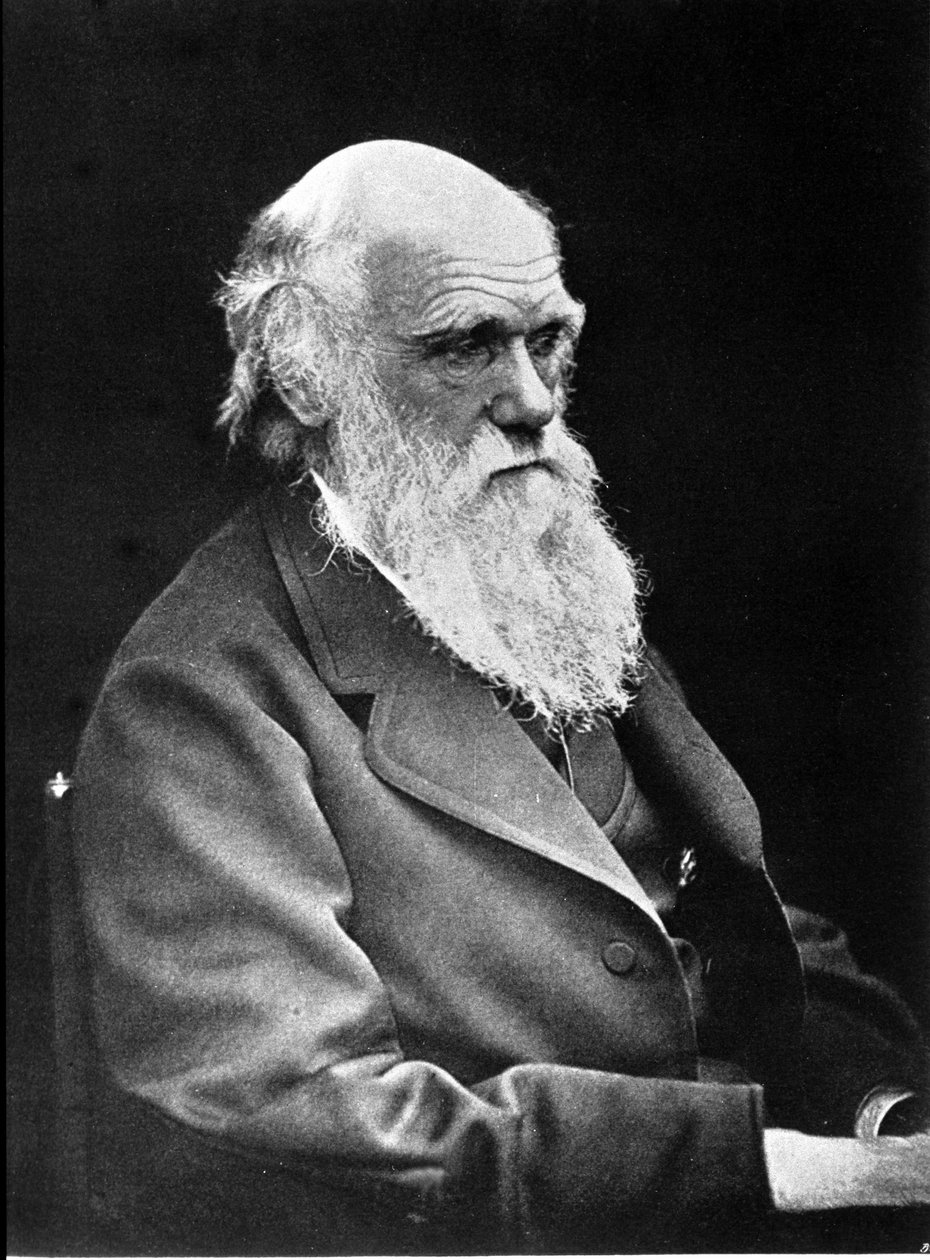 Fotografisk portrett av Charles Darwin (1809 - 1882), engelsk naturforsker. 1881 av Unknown photographer