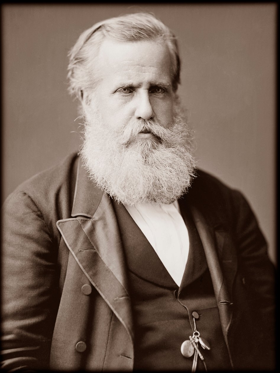 Portrett av Dom Pedro II (Peter II) (Dom Pedro de Alcantara) (1825-1891), keiser av Brasil av Unknown photographer