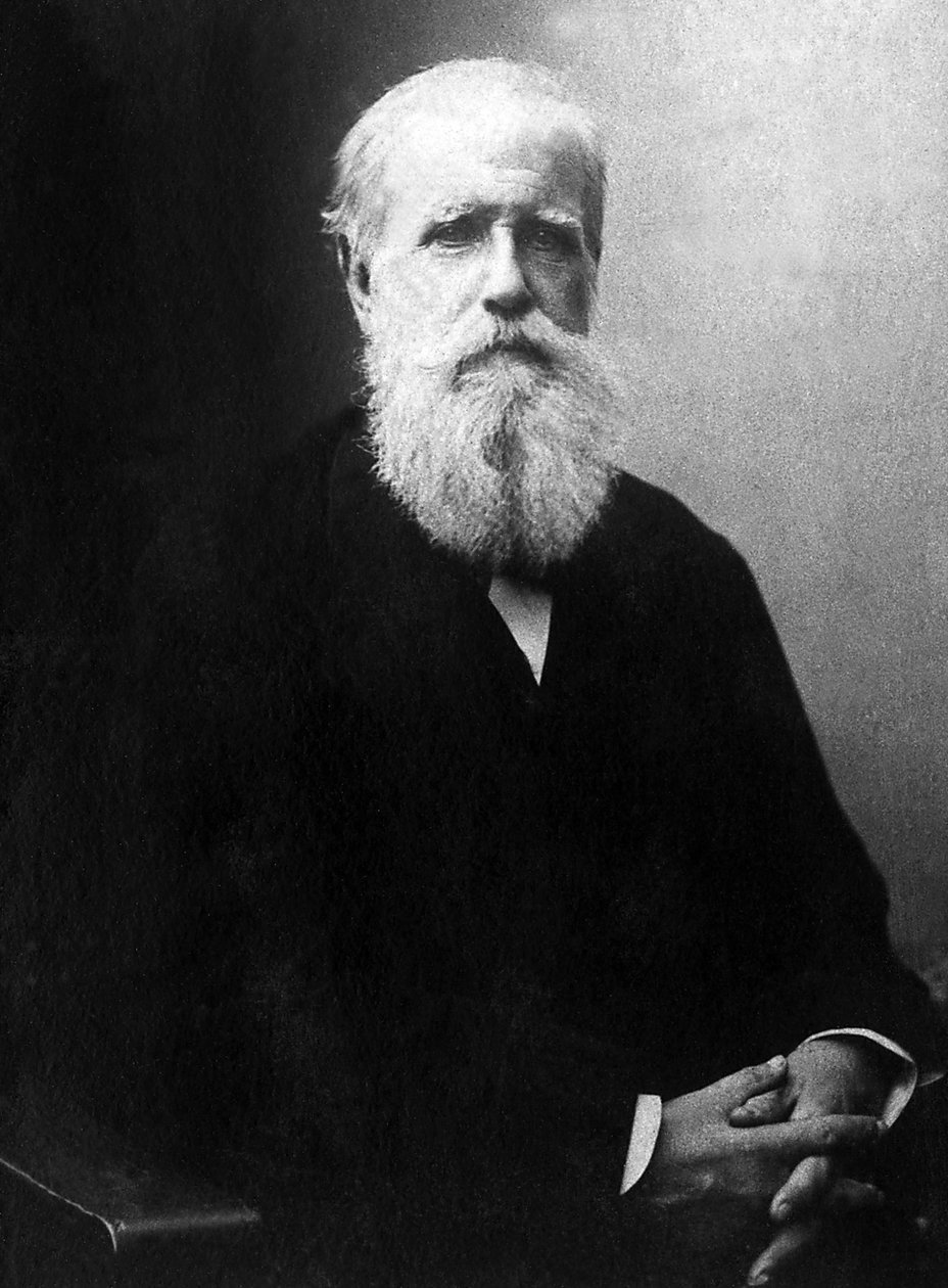 Portrett av Dom Pedro de Alcantara (Peter II) (1825-1891), keiser av Brasil. av Unknown photographer