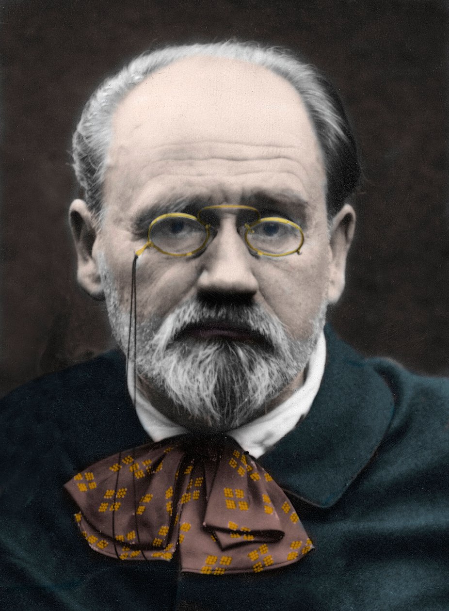 Portrett av Emile Zola 1890-tallet. av Unknown photographer