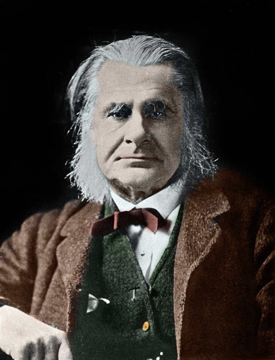 Portrett av Thomas Henry Huxley. Britisk biolog (1825-1895). av Unknown photographer