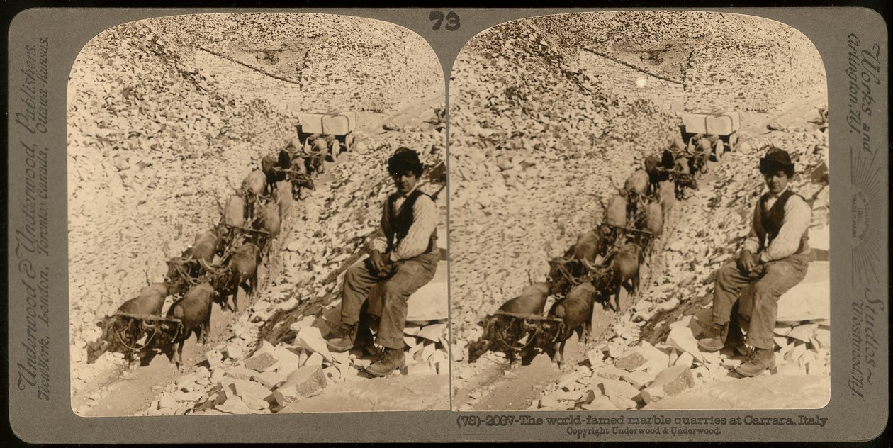 Portrett av en gutt i de berømte marmorbruddene i Carrara; Stereoskopisk fotografi (s/hvitt bilde) av Unknown photographer