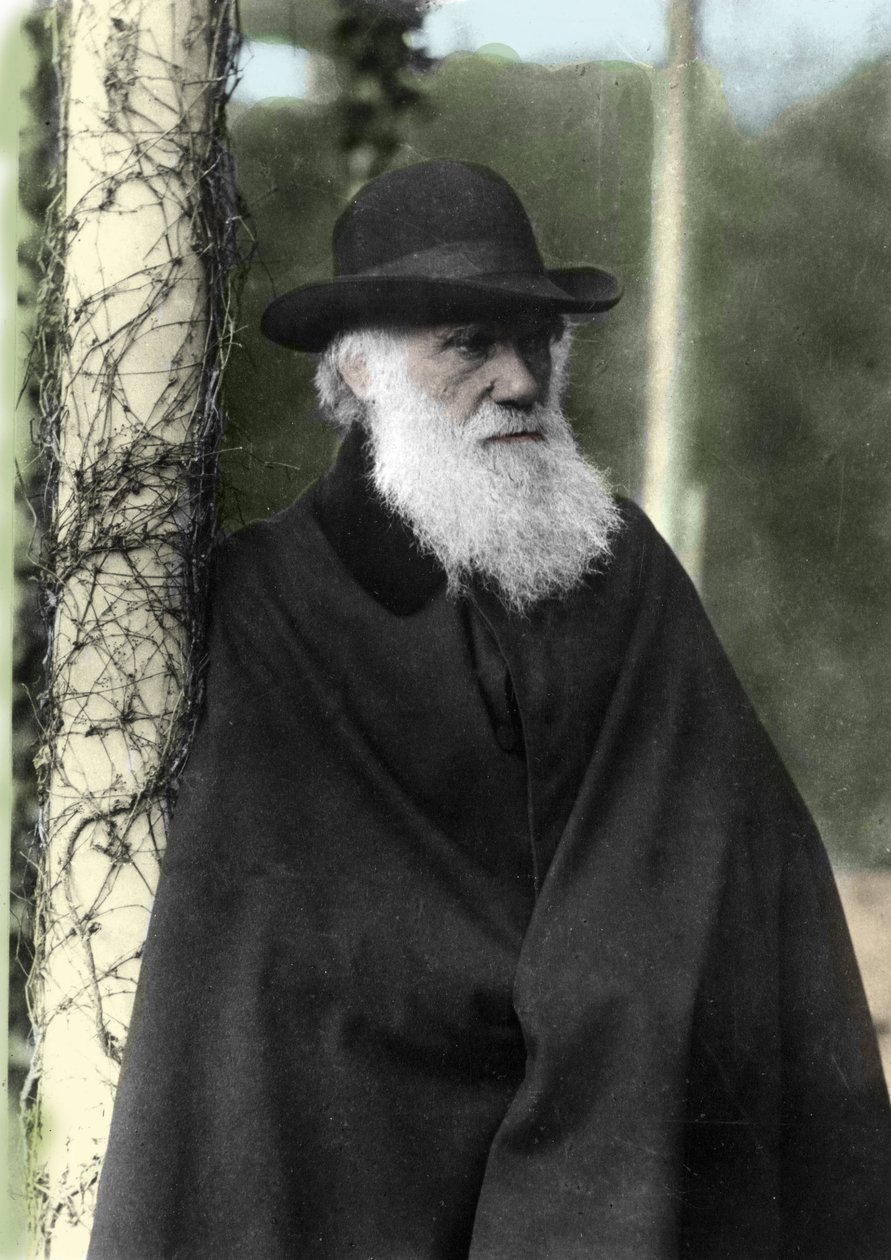 Fotografisk portrett av Charles Darwin (1809 - 1882), engelsk naturforsker i 1881. av Unknown photographer