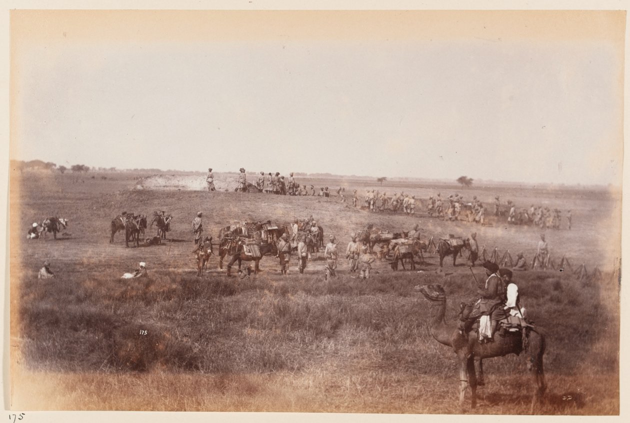 Sappere og gruvearbeidere lager lyskyttergraver under treningsleiren i Delhi, 1885 ca. av Unknown