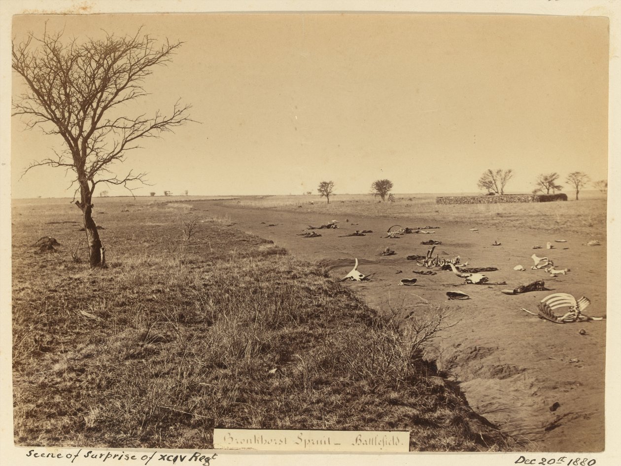 ?Overraskelsesscene for xciv-regimentet?, 1881 av Unknown