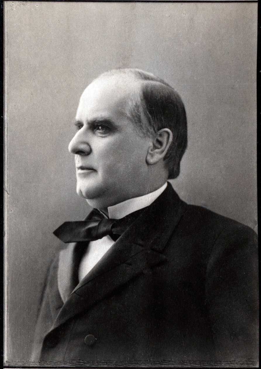 WILLIAM McKinley (1843-1901), 25th President of the United States - Portrait of William Mac Kinley (Mac-Kinley or McKinley av Unknown photographer