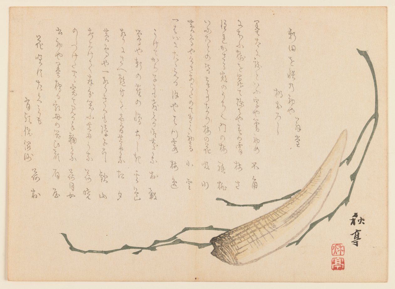 Tang og skalldyr (treblokktrykk) av Uragami Gyokudo