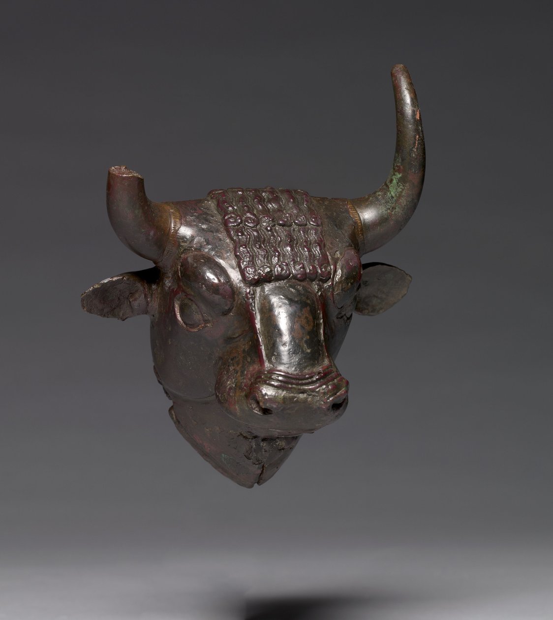 Bull Head Attachment, c.700-600 BC (bronze) av Urartian