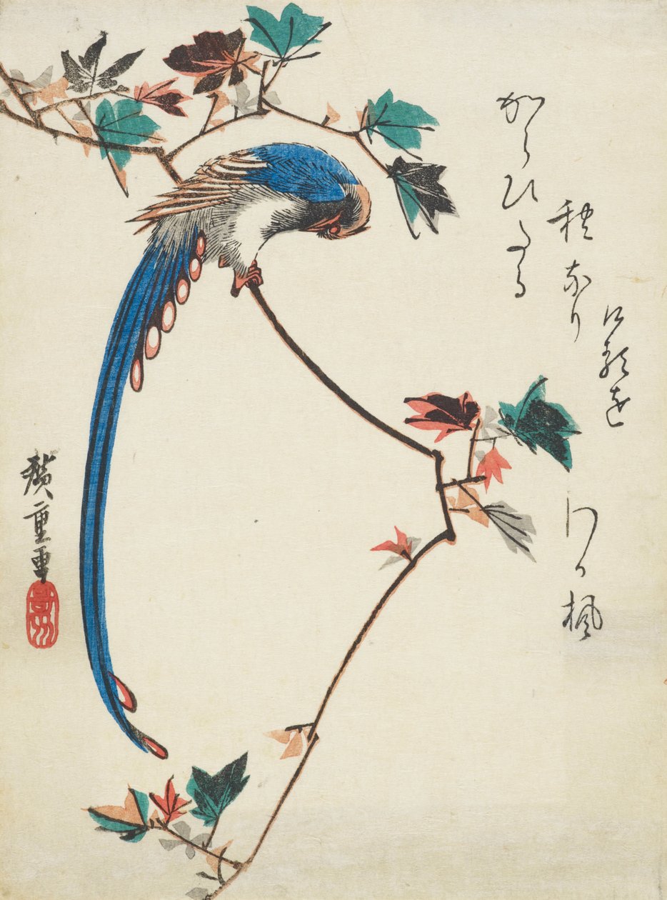 Blå ekte på lønnegren av Utagawa Hiroshige