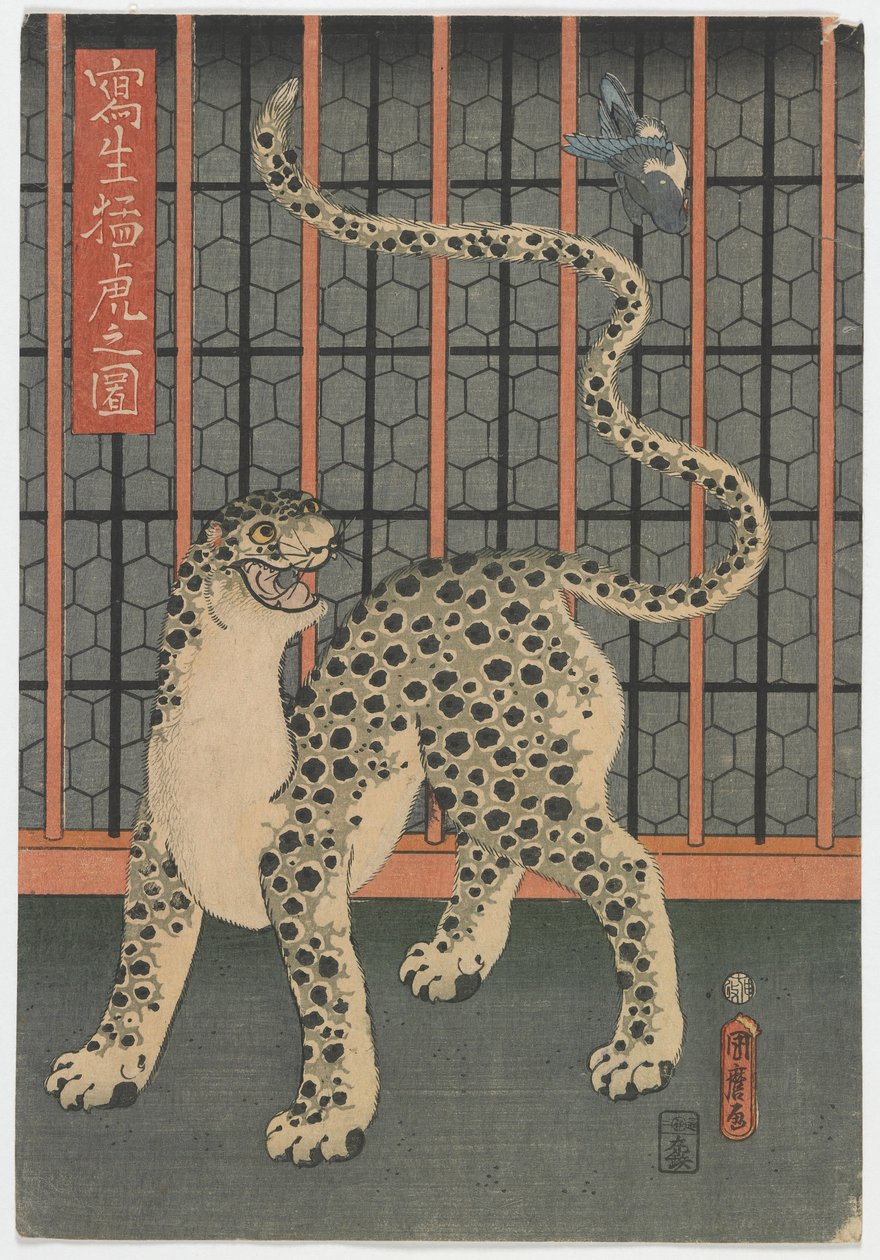 A Leopard Drawn from Life, Edo-perioden, 1860 (farget treblokktrykk) av Utagawa Kunimaro