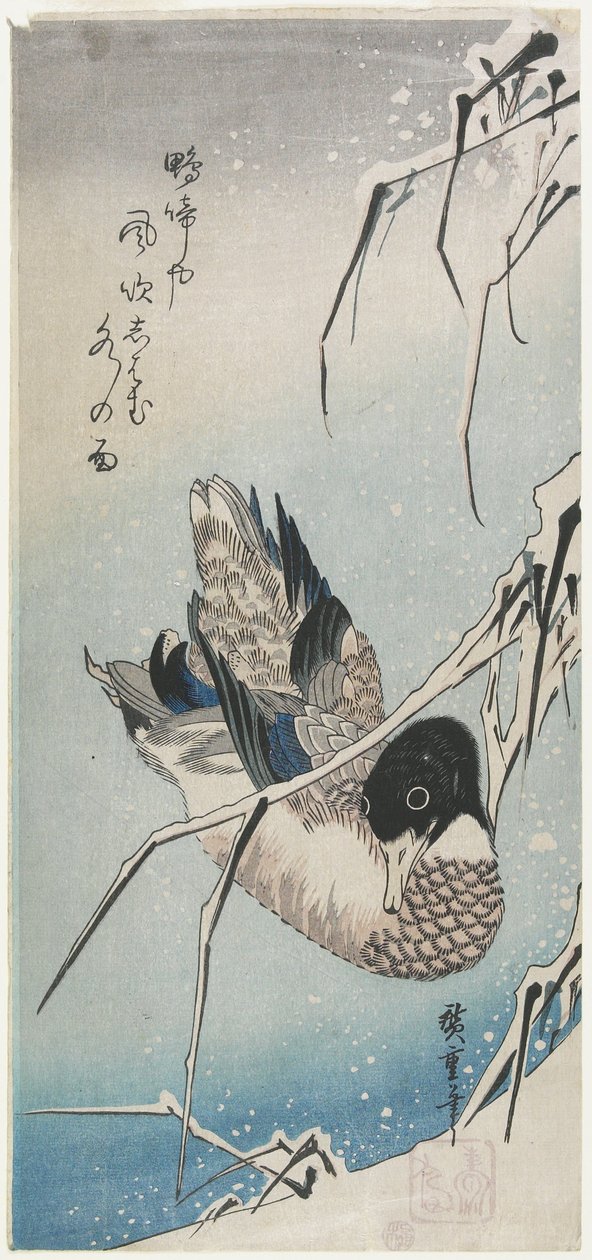 (Duck and Snowy Reeds), tidlig på 1830-tallet av Utagawa Hiroshige