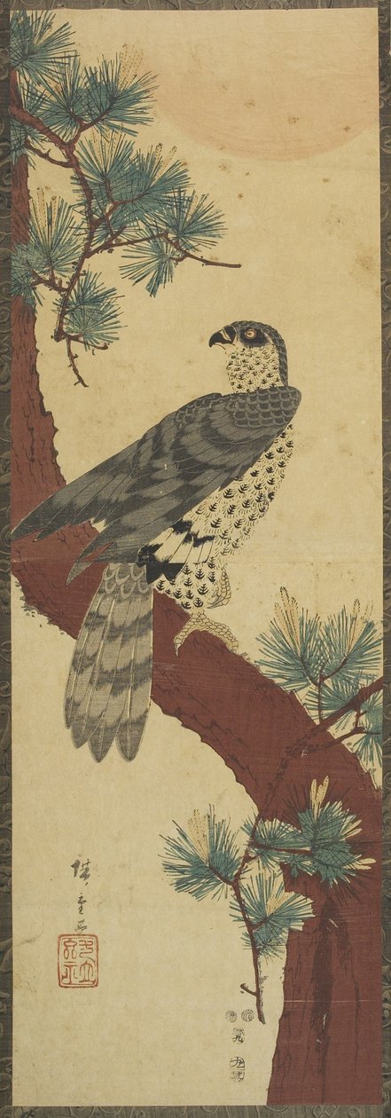 (Hawk on Pine Branch, sommer), september 1853 av Utagawa Hiroshige
