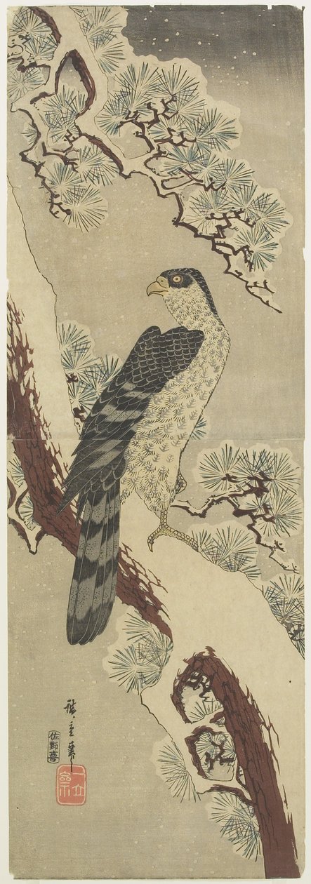 (Hawk on Pine Branch, Winter), tidlig på 1800-tallet av Utagawa Hiroshige