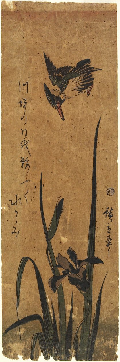 (Iris og Kingfisher), 1830-1858 av Utagawa Hiroshige