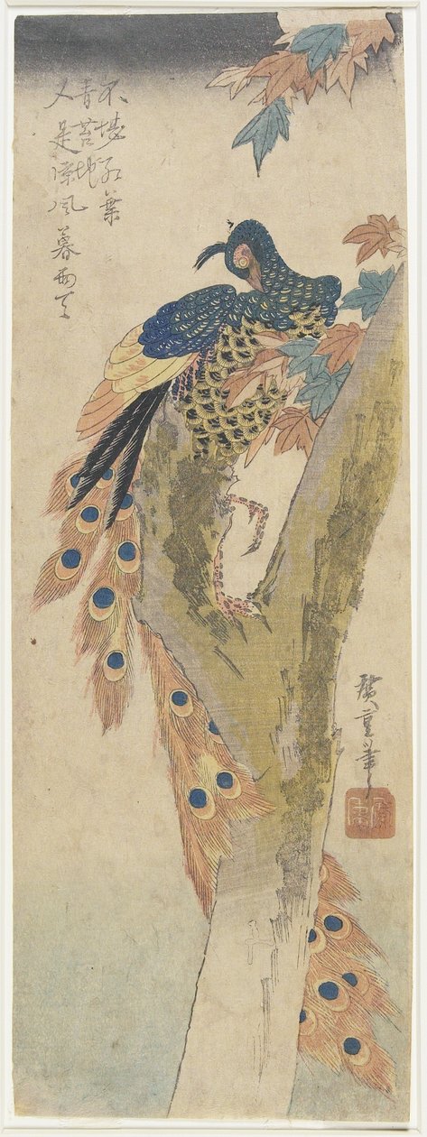 (Peacock on Maple Tree), tidlig på 1800-tallet av Utagawa Hiroshige