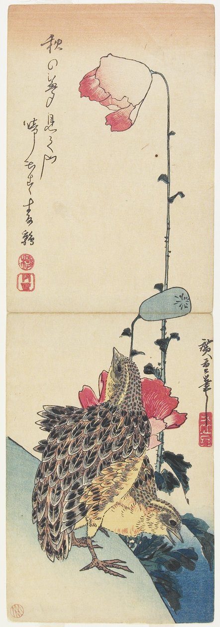(Vagtel og valmuer), 1830-1858 av Utagawa Hiroshige
