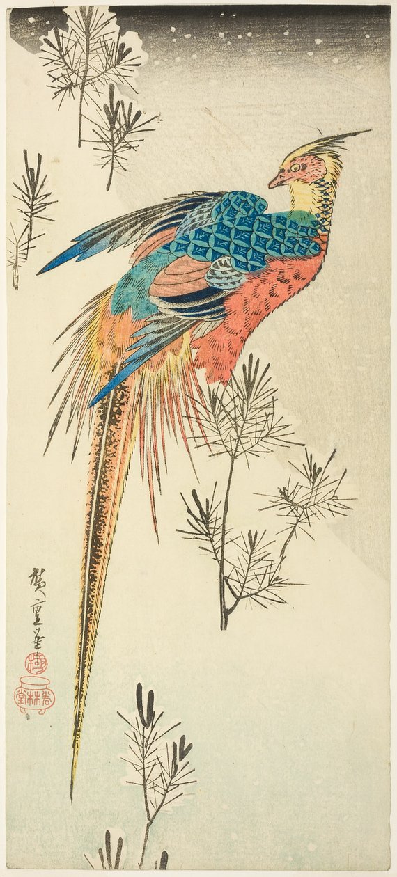 En gullfasan plassert på en bratt snødekt åsside blant små furuplanter av Utagawa Hiroshige