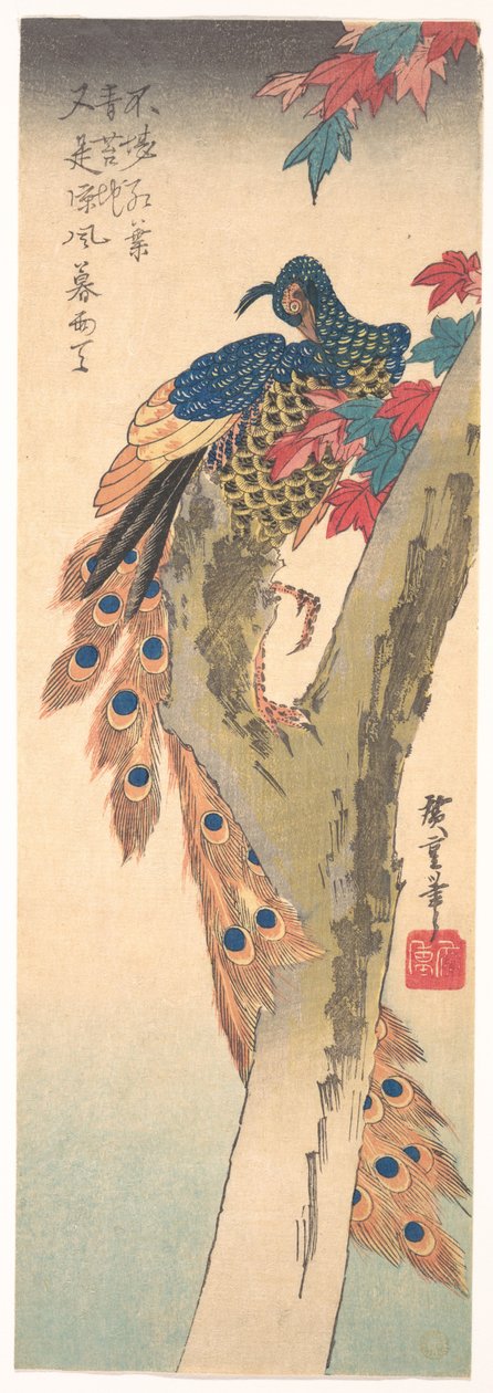 En påfugl på et lønnetre av Utagawa Hiroshige
