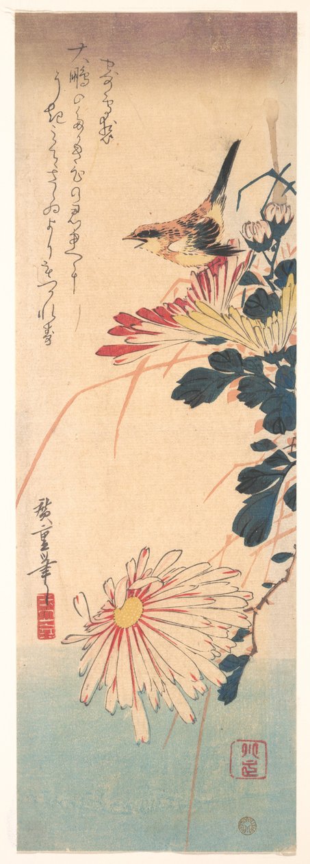 Ein Zaunkönig und Chrysanthemen av Utagawa Hiroshige