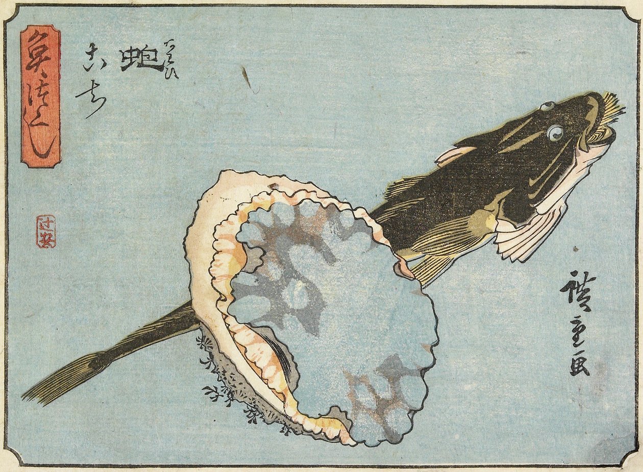 Abalone og Flathead, 1830-1844 av Utagawa Hiroshige
