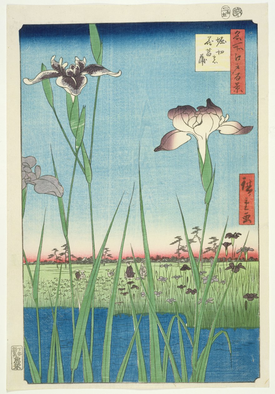 BM.Cat.440 Irises at Horikin, No.56 i serien 