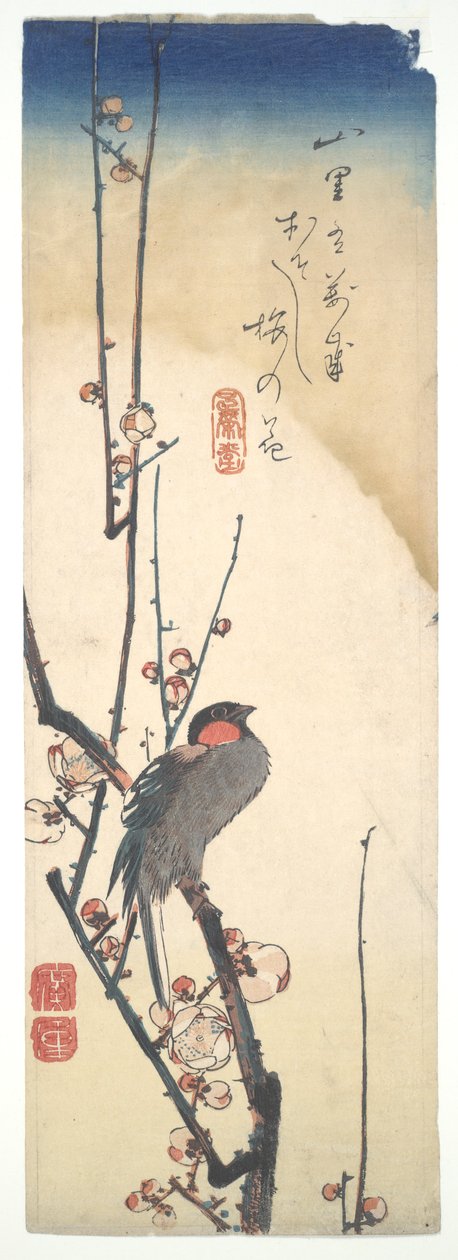 Vogel und Pflaumenbaum von Utagawa Hiroshige