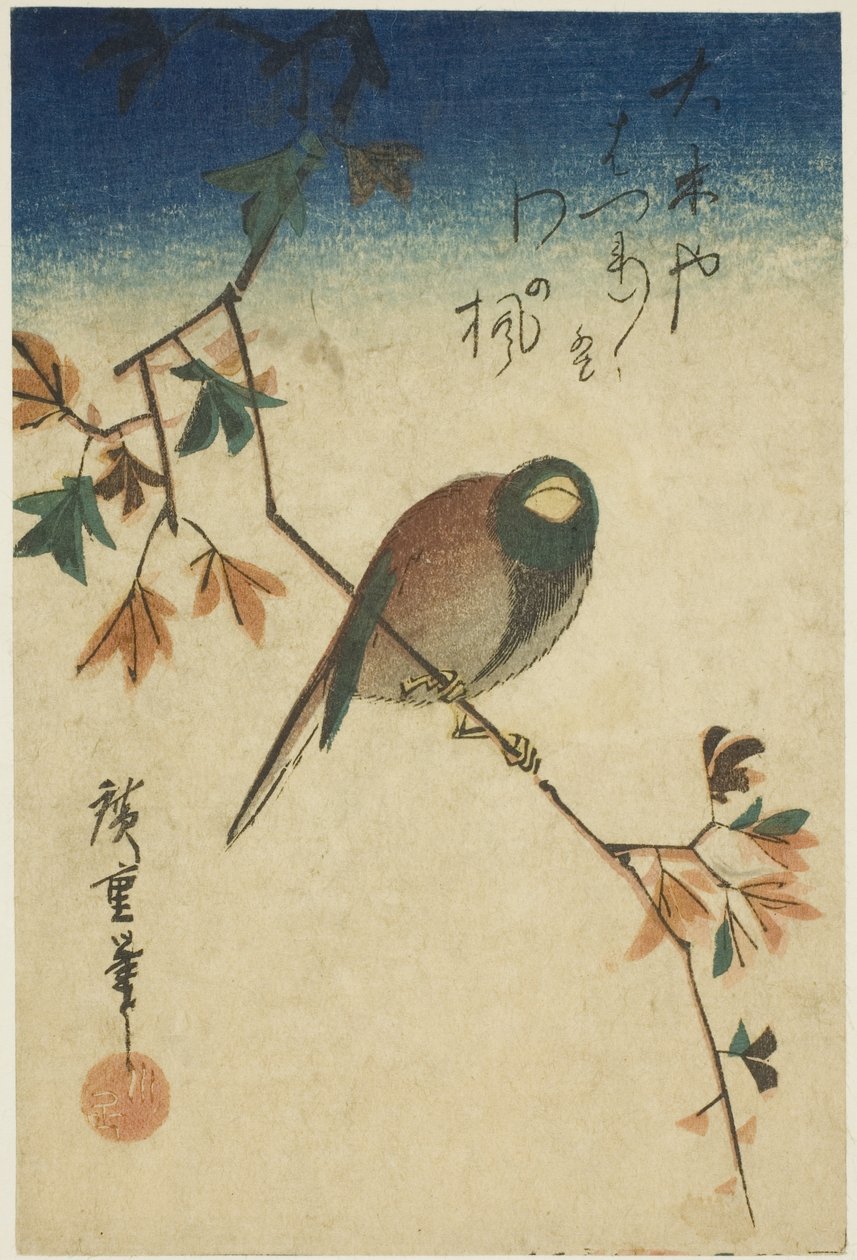 Fugl på lønnegren av Utagawa Hiroshige